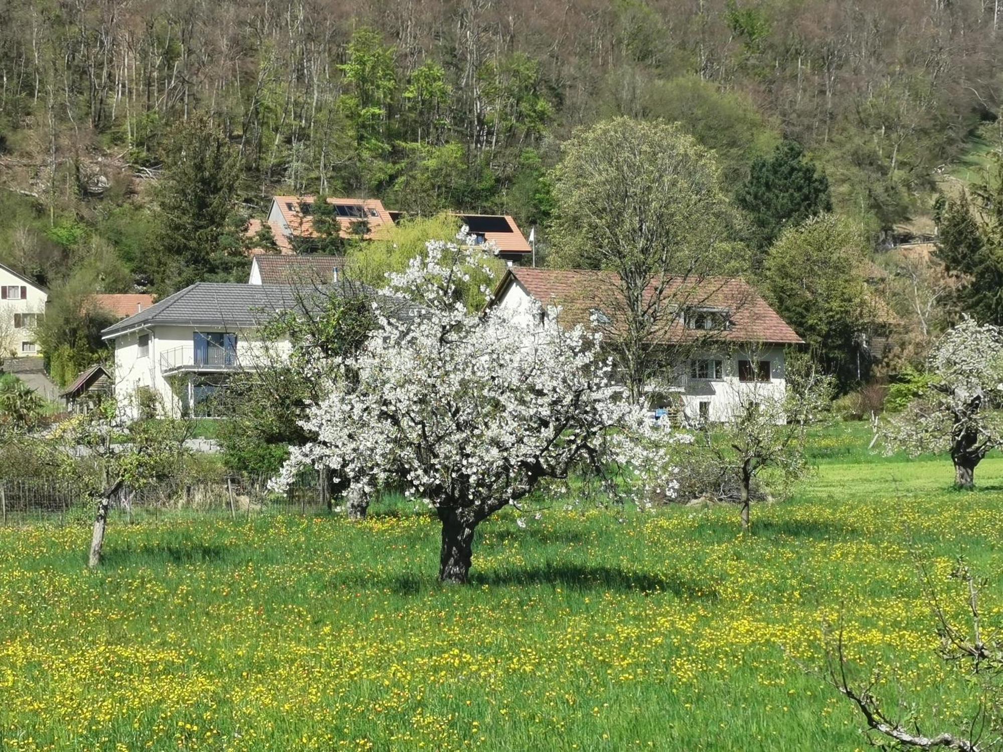Vreni's Gästezimmer Himmelried Exterior foto